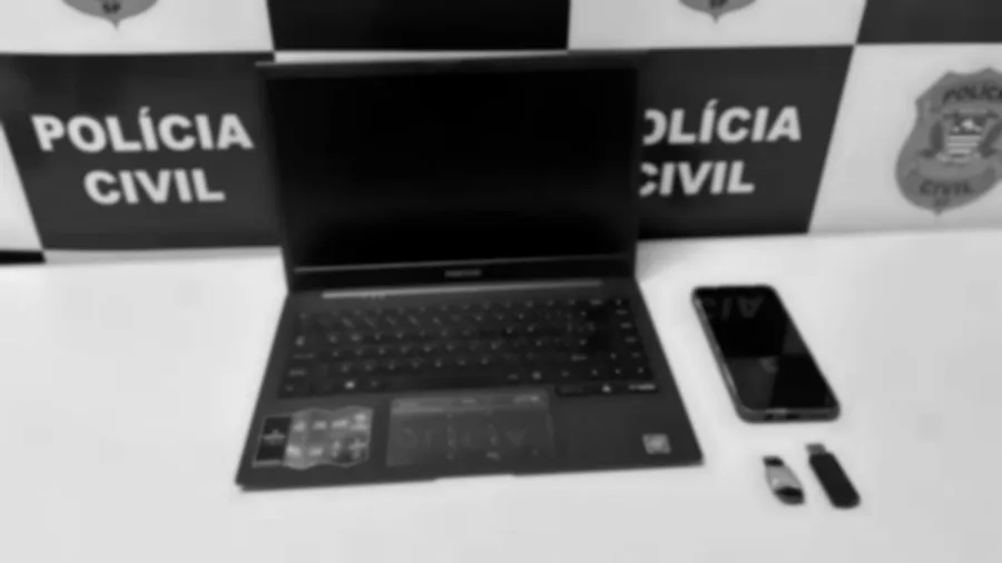 Entenda agora: Líder de organização criminosa ligada a crimes na internet é preso em SP – detalhado para você