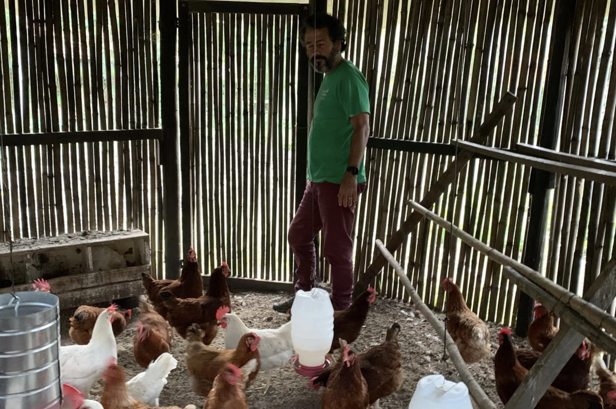 Quase 30 anos depois da compra, a antiga fazenda degradada se tornou um projeto de restauração com nascentes protegidas e 200 mil árvores previstas.
