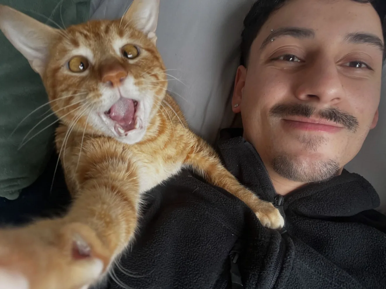 Leer continua seguindo o tutor, pedindo carinho e dormindo ao lado dele todas as noites, mas agora sua vontade de ficar perto de alguém finalmente encontrou lugar.