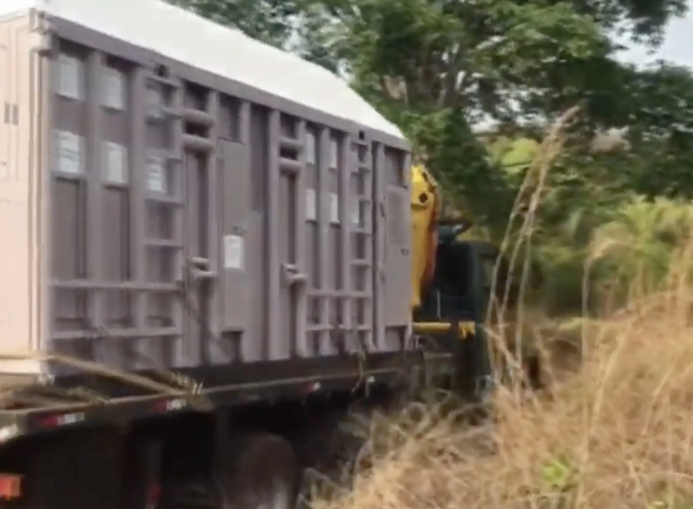 Depois de décadas vivendo entre picadeiros, cercas e espaços pequenos, elefanta Rana de 3,5 toneladas atravessa 2.700 km e chega ao lugar onde finalmente pode decidir para onde caminhar