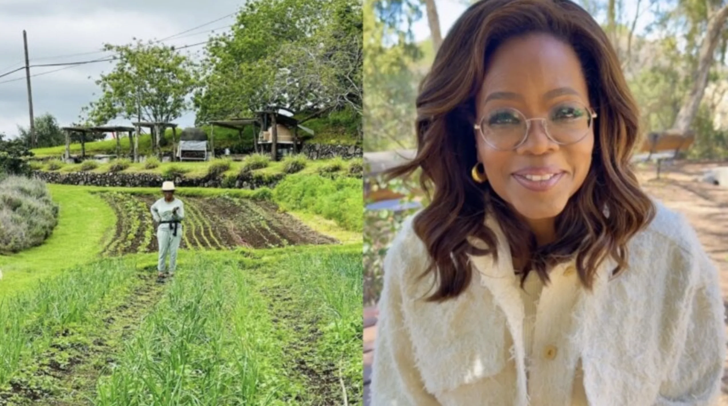 Nas encostas do Haleakalā, Oprah reuniu centenas de acres até se aproximar de 1.000, combinando residência, natureza e áreas destinadas ao cultivo de alimentos.