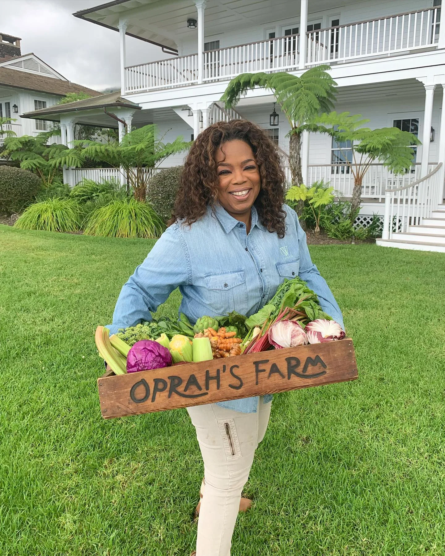 Para Oprah, plantar e colher virou mais do que uma atividade rural, porque o gesto recuperou lembranças da infância em que a alimentação dependia muito da terra.
